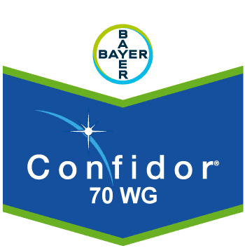 Confidor